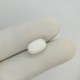 White Coral (Safed Moonga) 5.3 Ct Gem Quality White Coral (Safed Moonga) 5.3 Ct Gem Quality